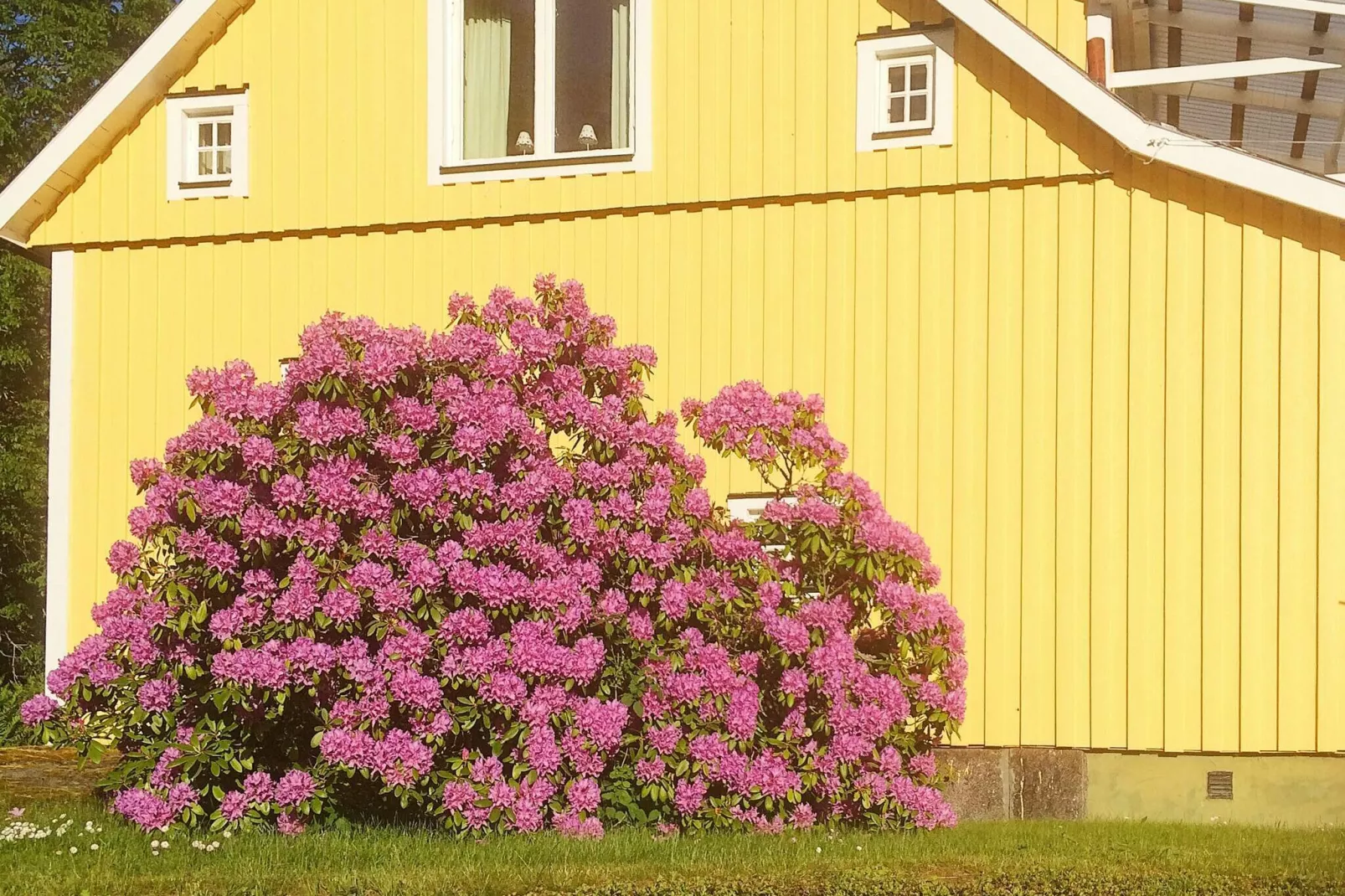 4 persoons vakantie huis in ÖVERUM-Buitenlucht