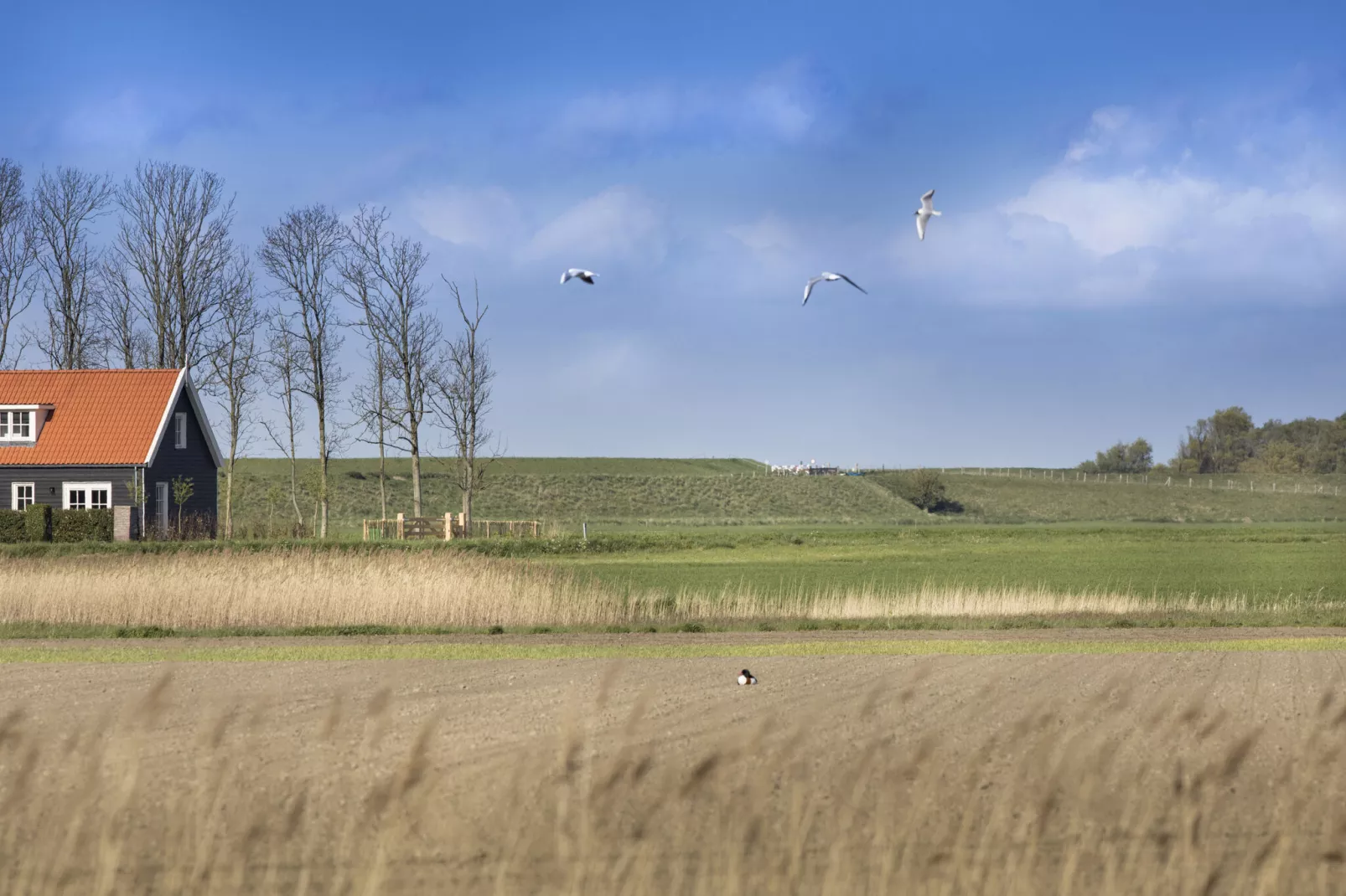 Groeneweg 4-Uitzicht zomer