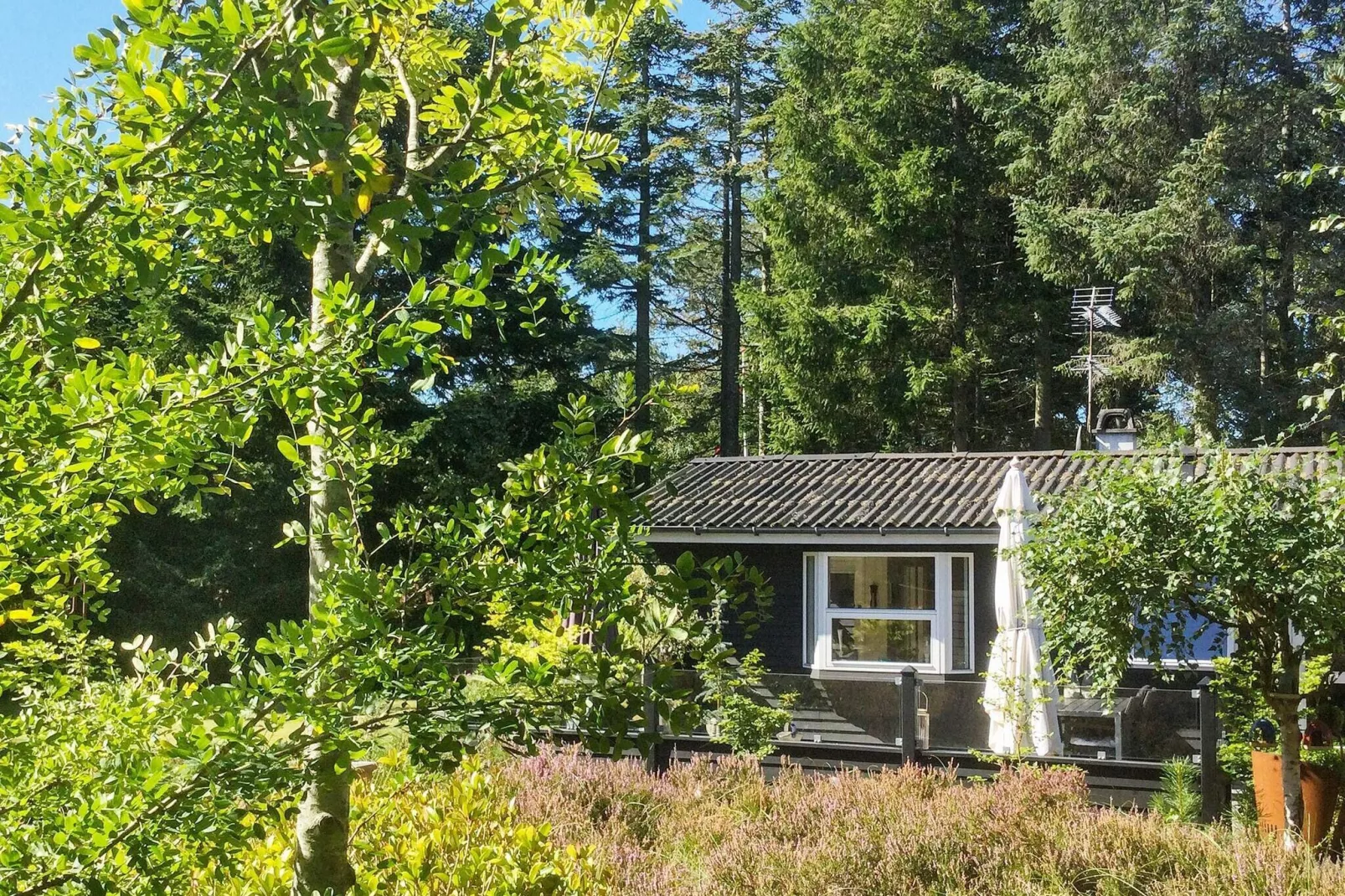 4 persoons vakantie huis in Hals-Buitenlucht