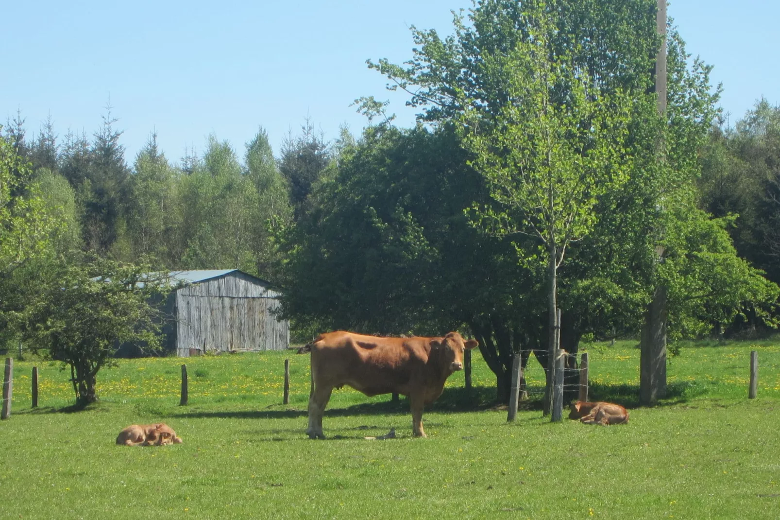 Am Bauernhof-Gebieden zomer 20km