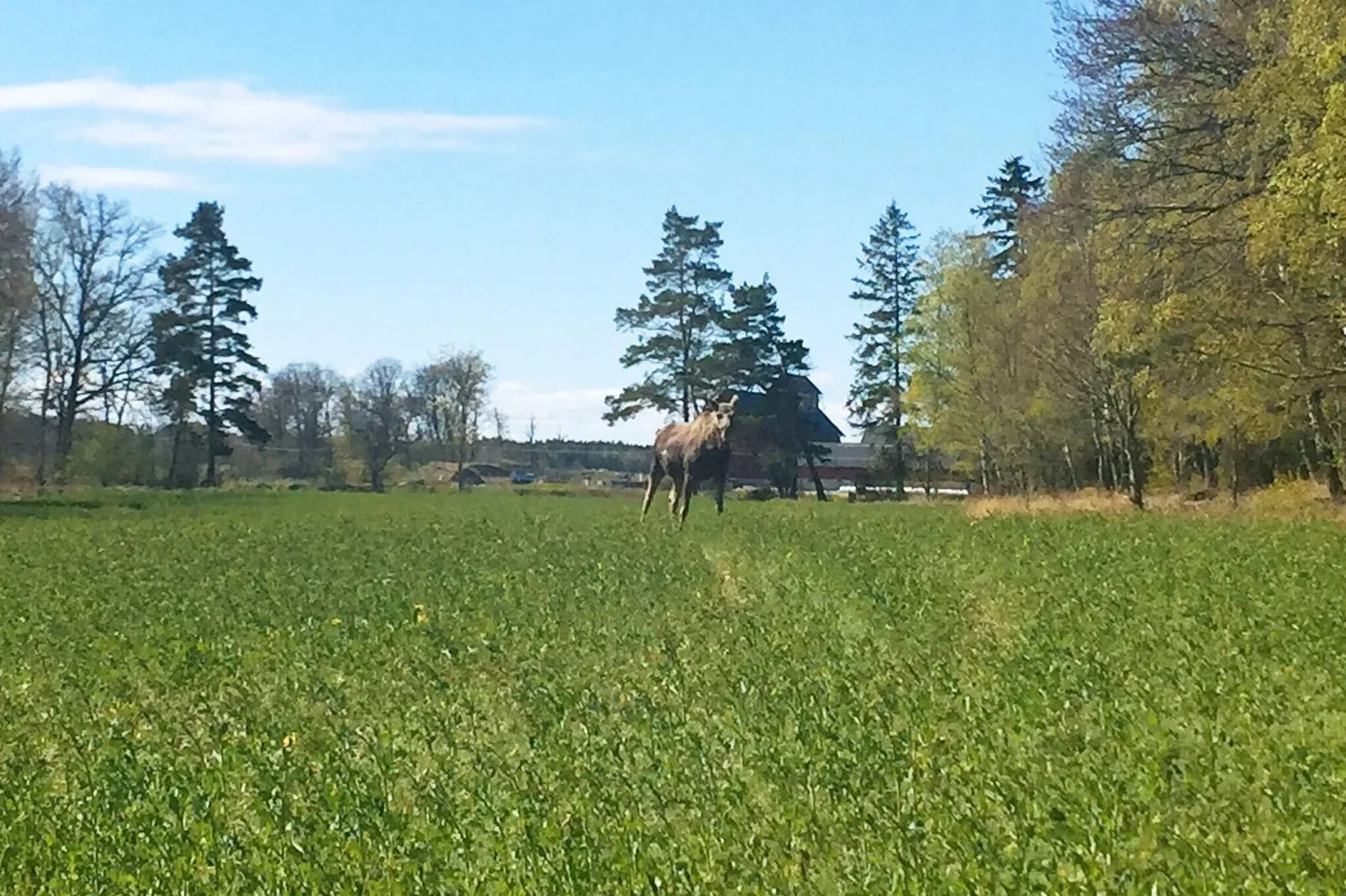 6 persoons vakantie huis in LIDKÖPING-Niet-getagd