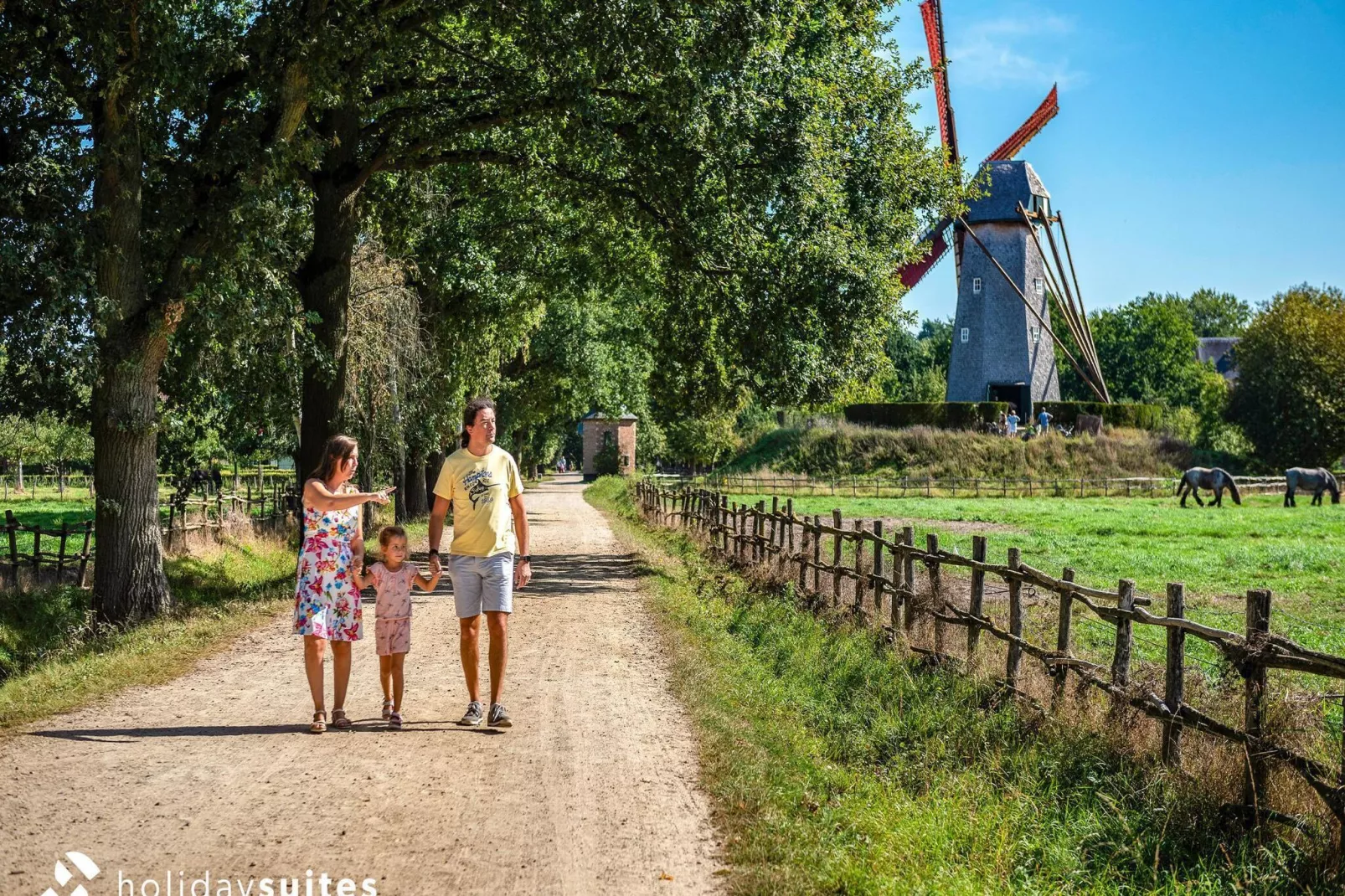 Domein Limburg 4-Gebieden zomer 1km