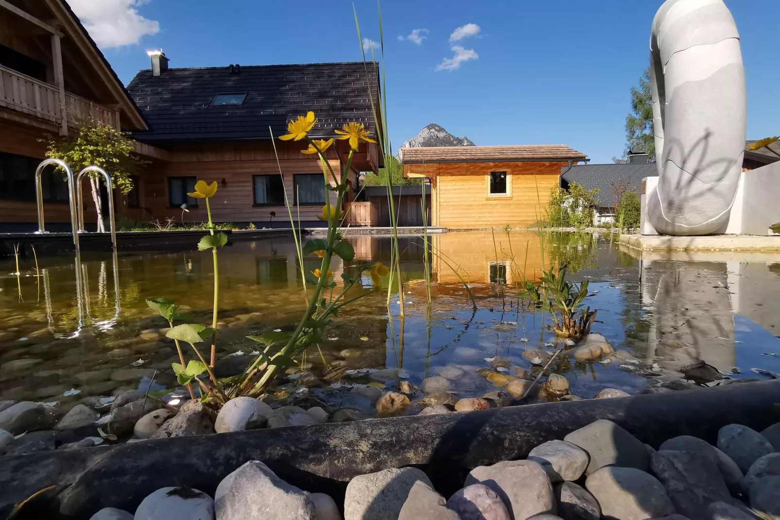 Chalet Tauplitz-Zwembad