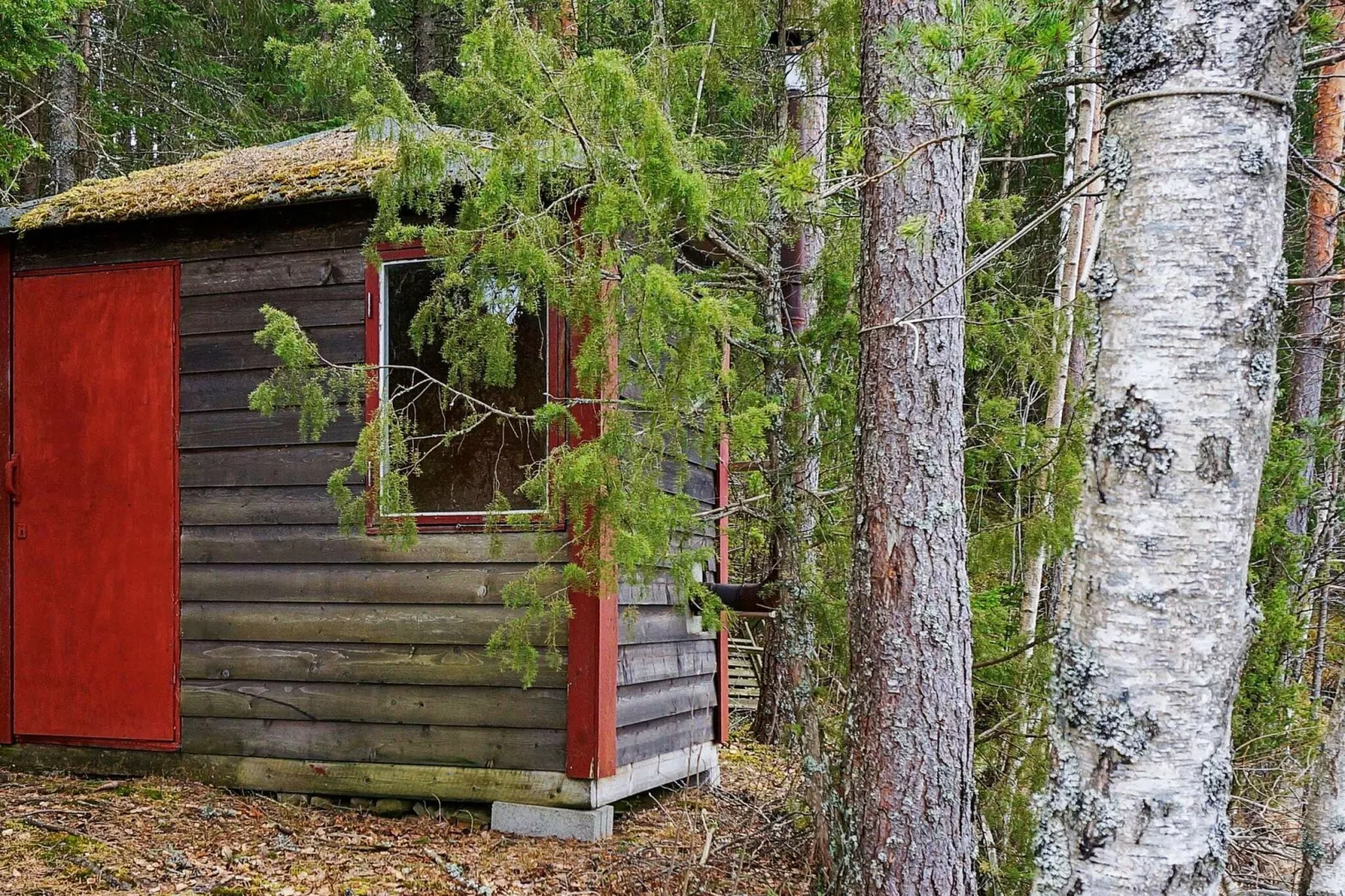 6 persoons vakantie huis in ÅRJÄNG-Sauna