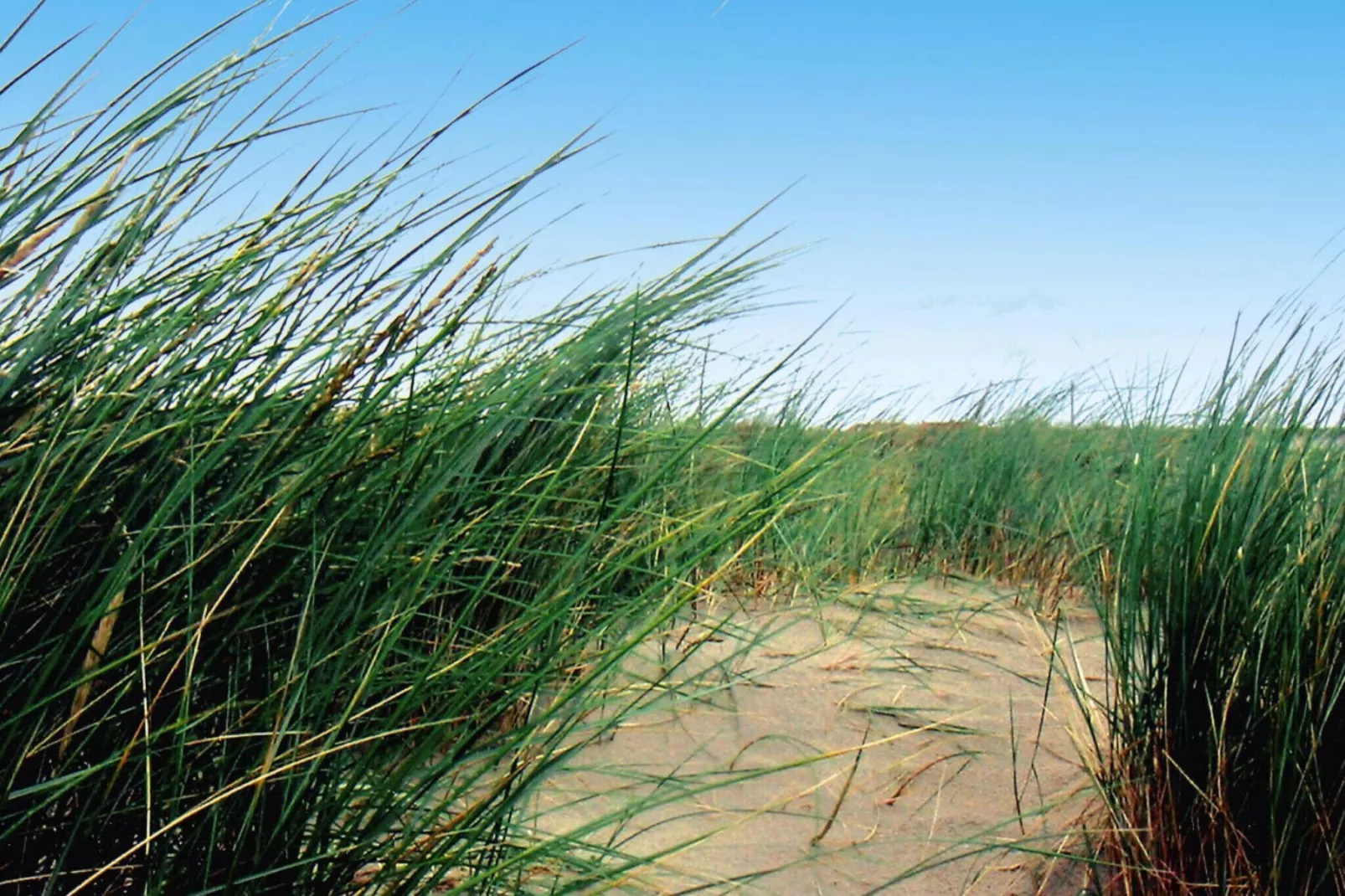 Ferienwohnung auf Norderney