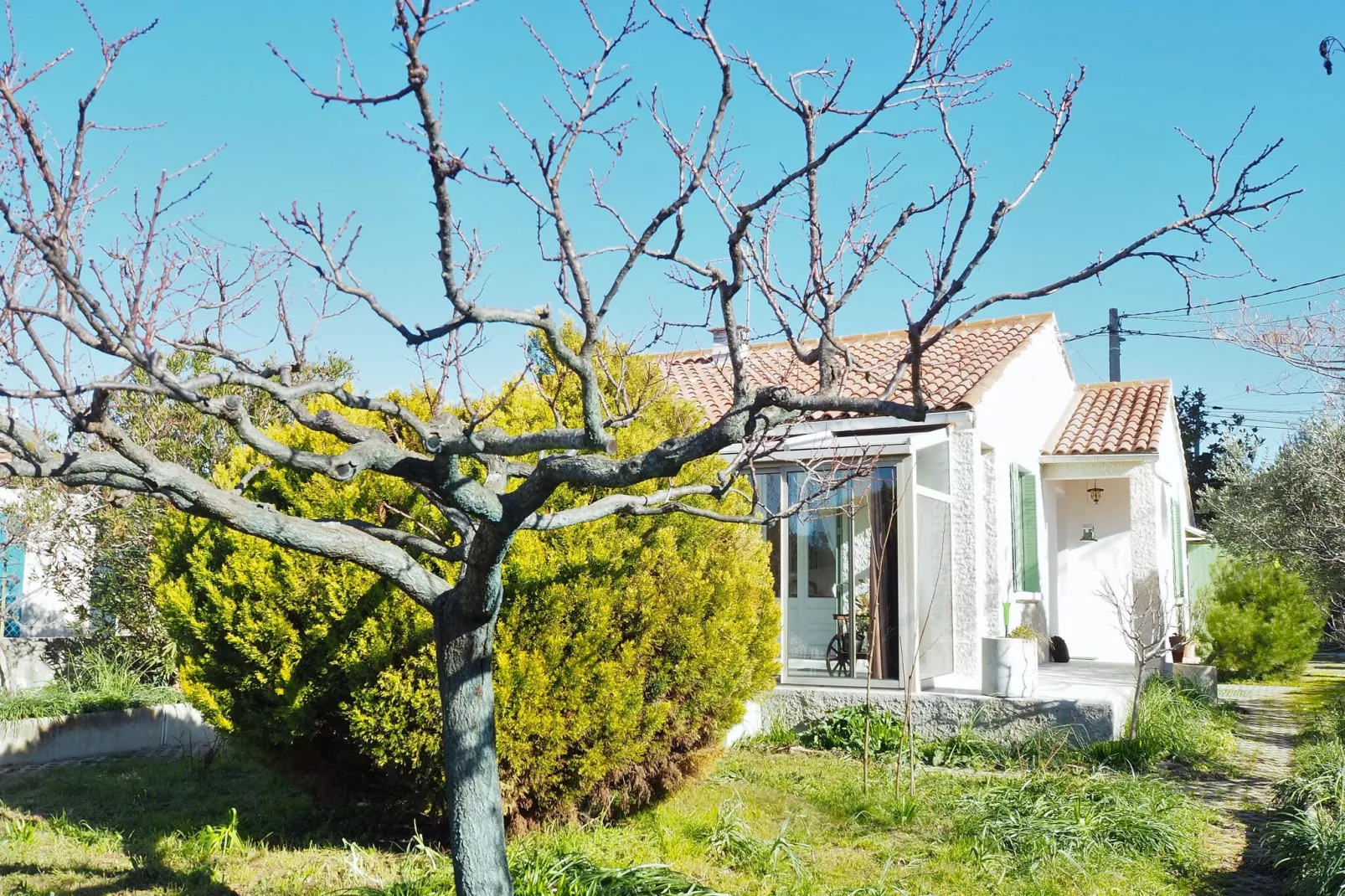 Ferienhaus in Villes-sur-Auzon-Tuinen zomer