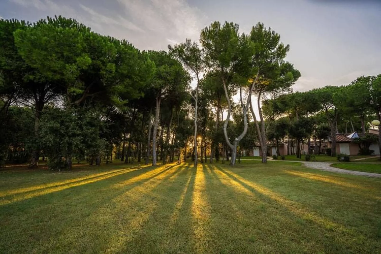 Holiday resort Riva degli Etruschi San Vincenzo-Ville Morellino Trilocali 200 m dal mare-Tuinen zomer