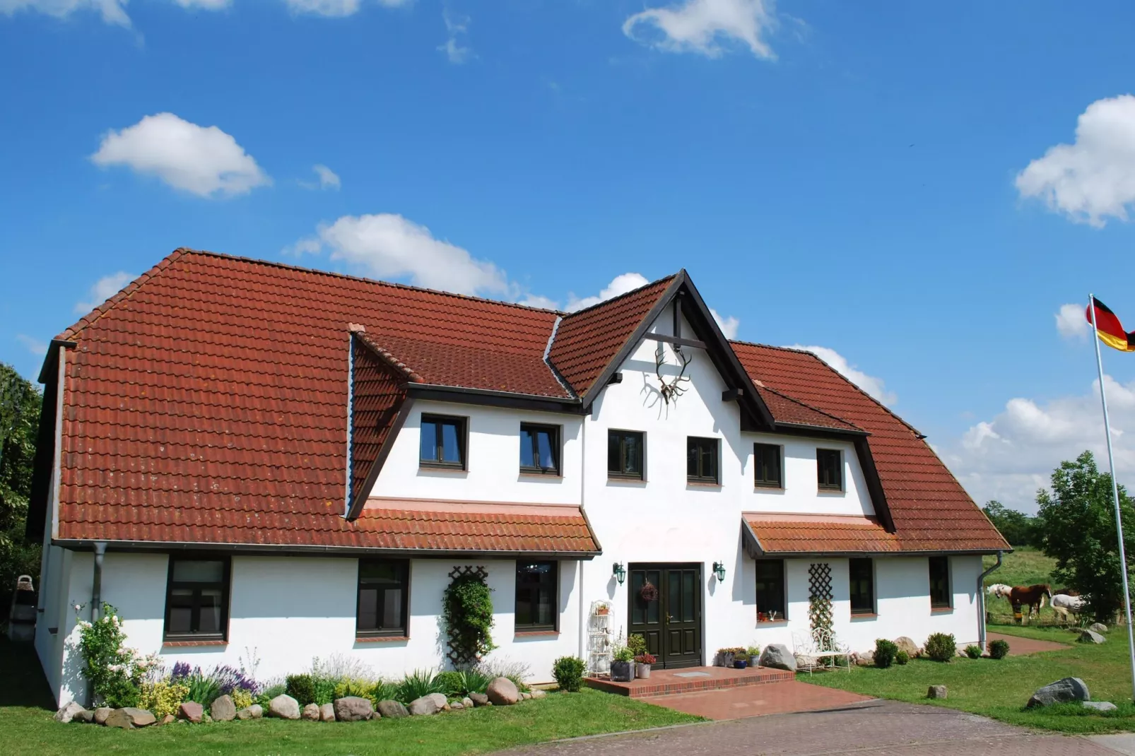 Hiddensee/ uriger Ferienpark-Buitenkant zomer