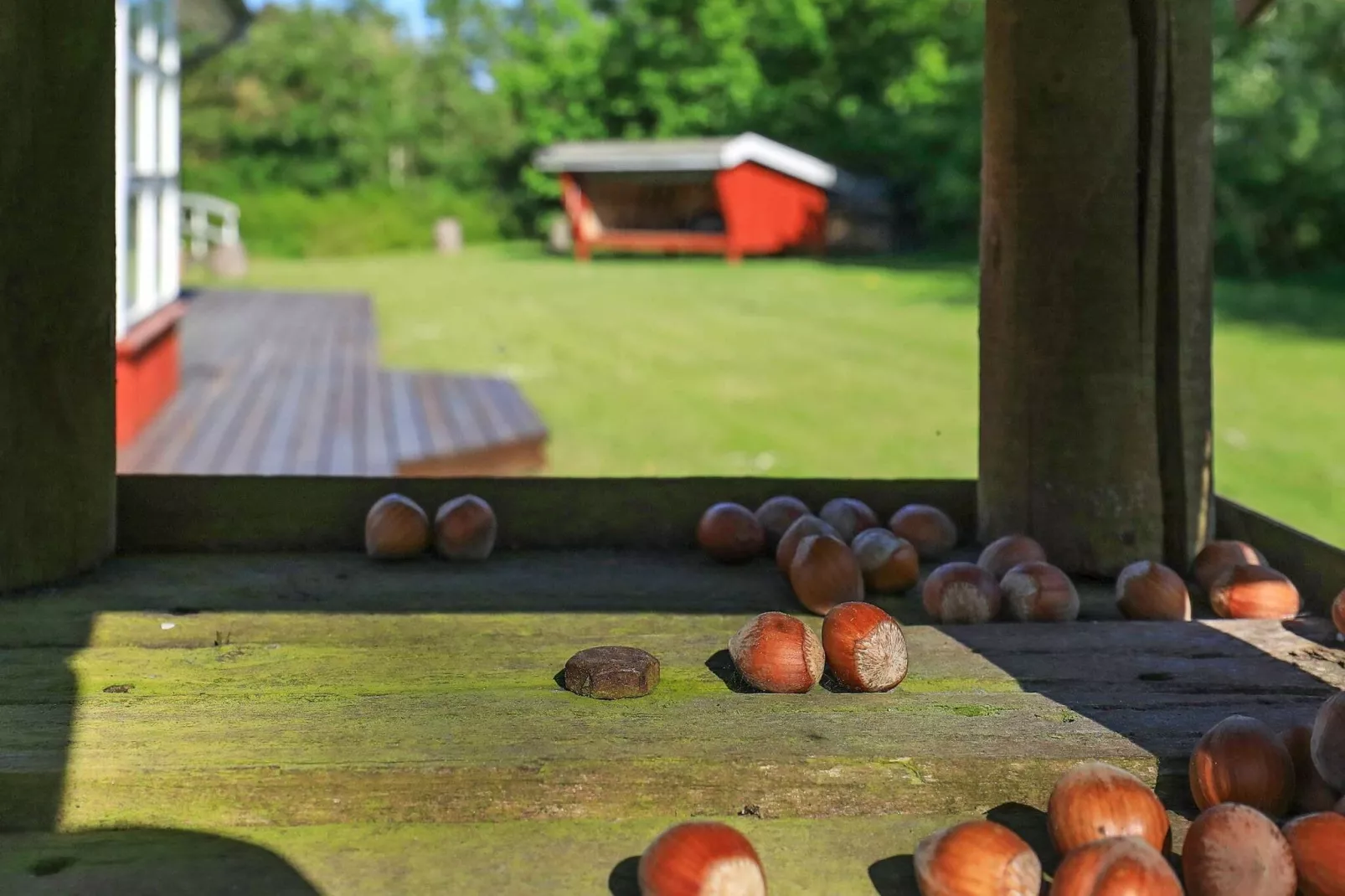 6 persoons vakantie huis in Hals-Niet-getagd