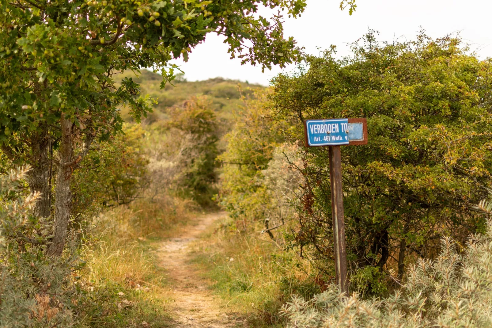 Vakantiepark Duinzicht 4-Gebieden zomer 5km