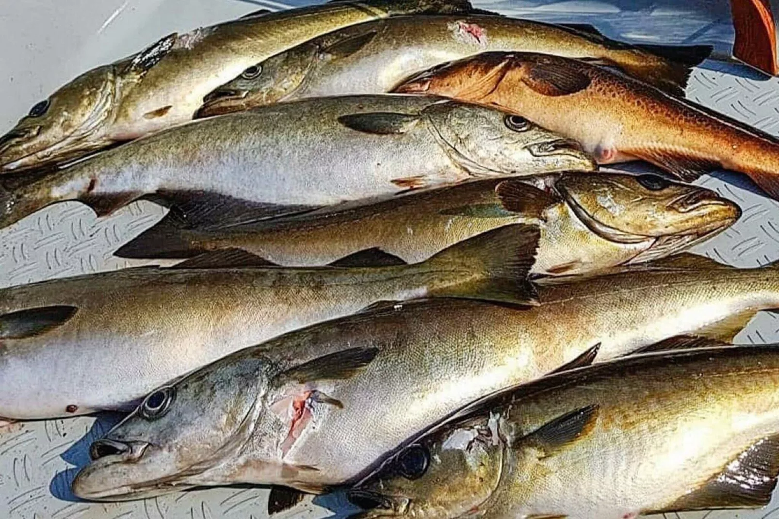 4 persoons vakantie huis in Leirvik i Sogn-Niet-getagd