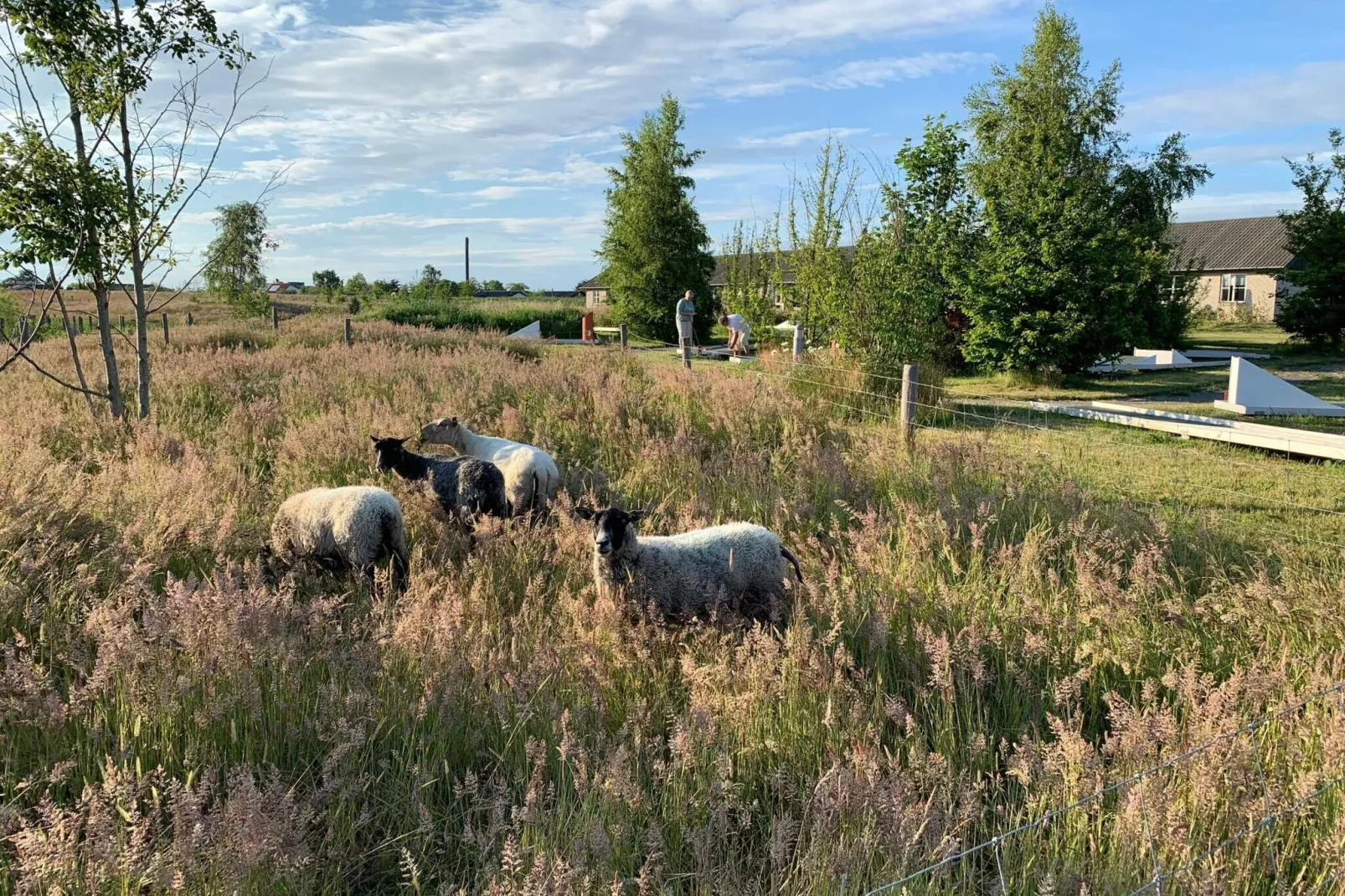 5 pers.Lejl.-Niet-getagd