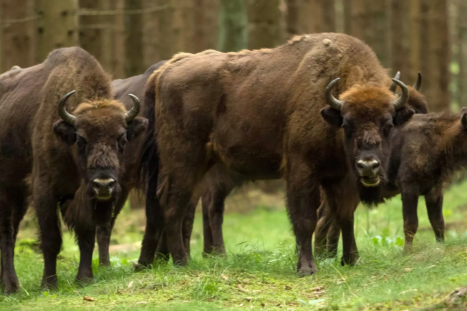 5 pers.Lejl.-Niet-getagd