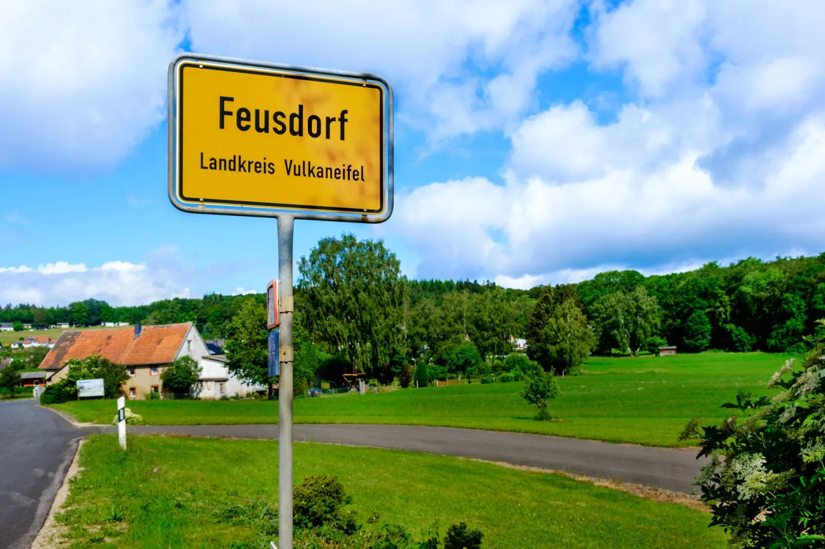 Eifel-Ferienhaus Rita Romag-Gebieden zomer 1km