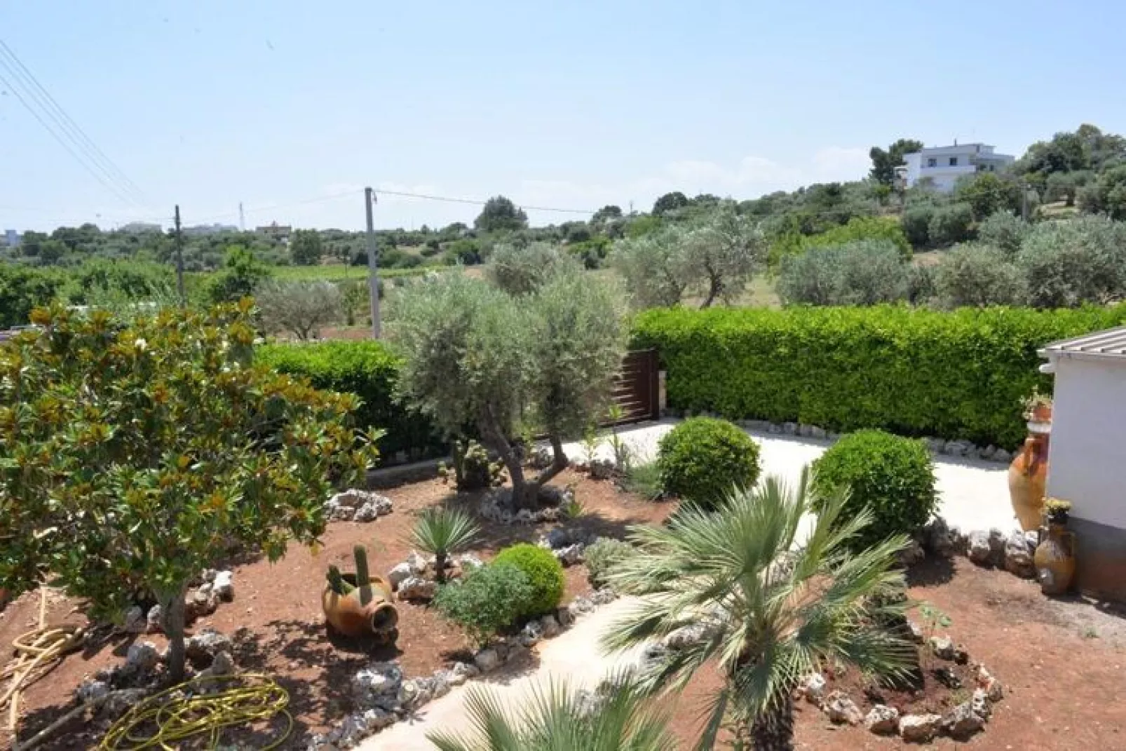 Trullo Cittadino Cisternino-Tuinen zomer