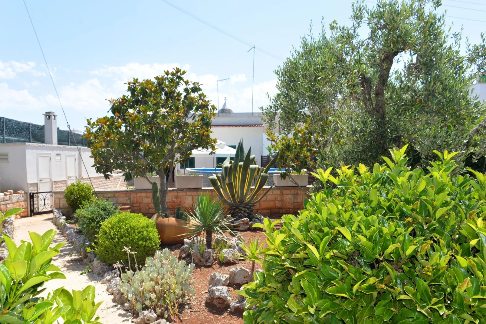 Trullo Cittadino Cisternino-Tuinen zomer