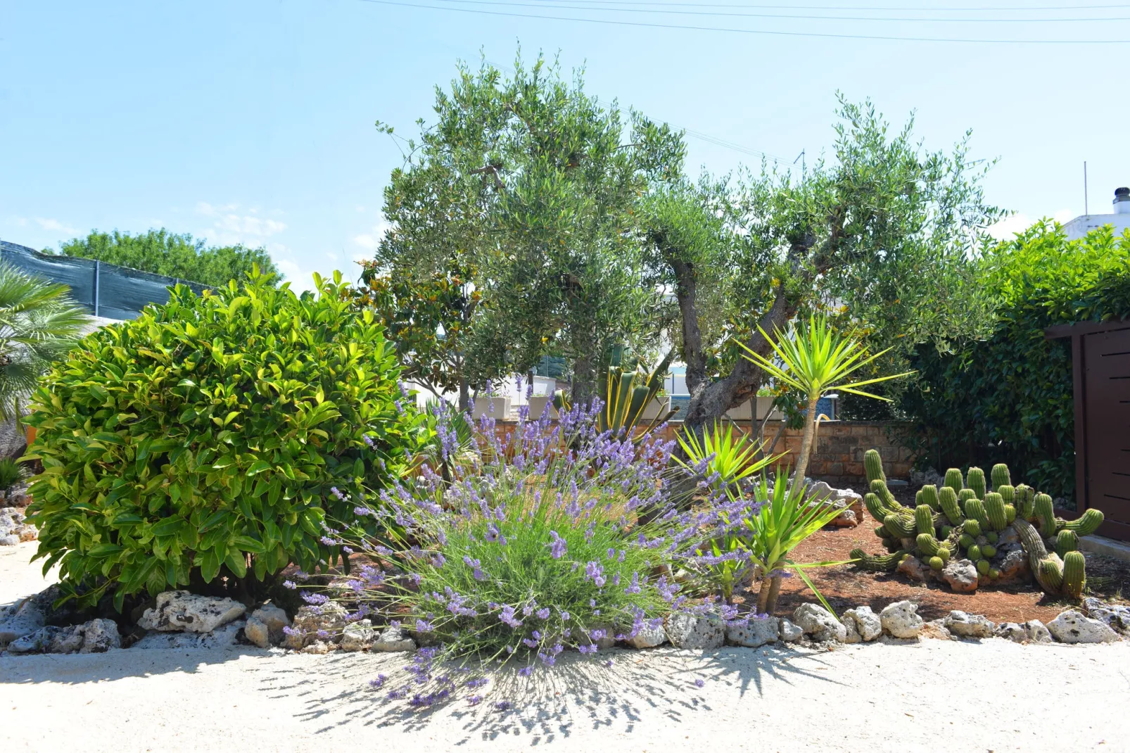 Trullo Cittadino Cisternino-Tuinen zomer