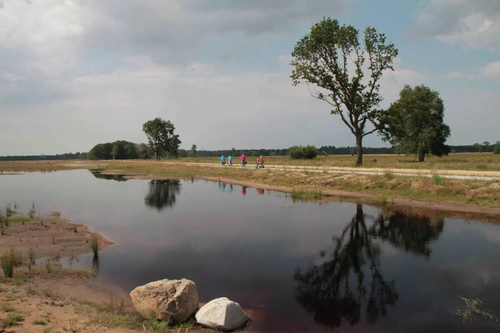 Natuurhuis Dichtbij-Gebieden zomer 5km