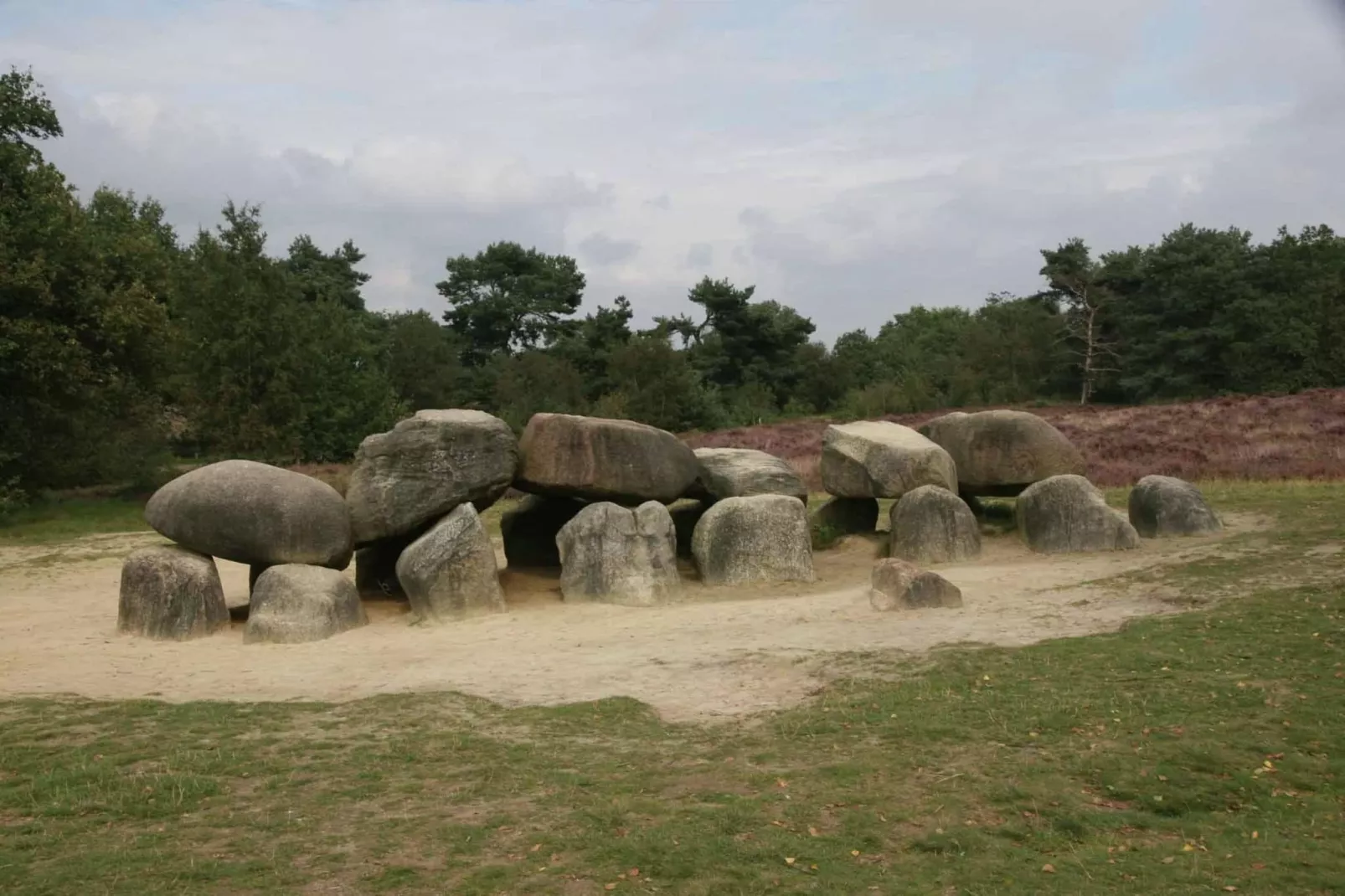 Natuurhuis Dichtbij-Gebieden zomer 5km