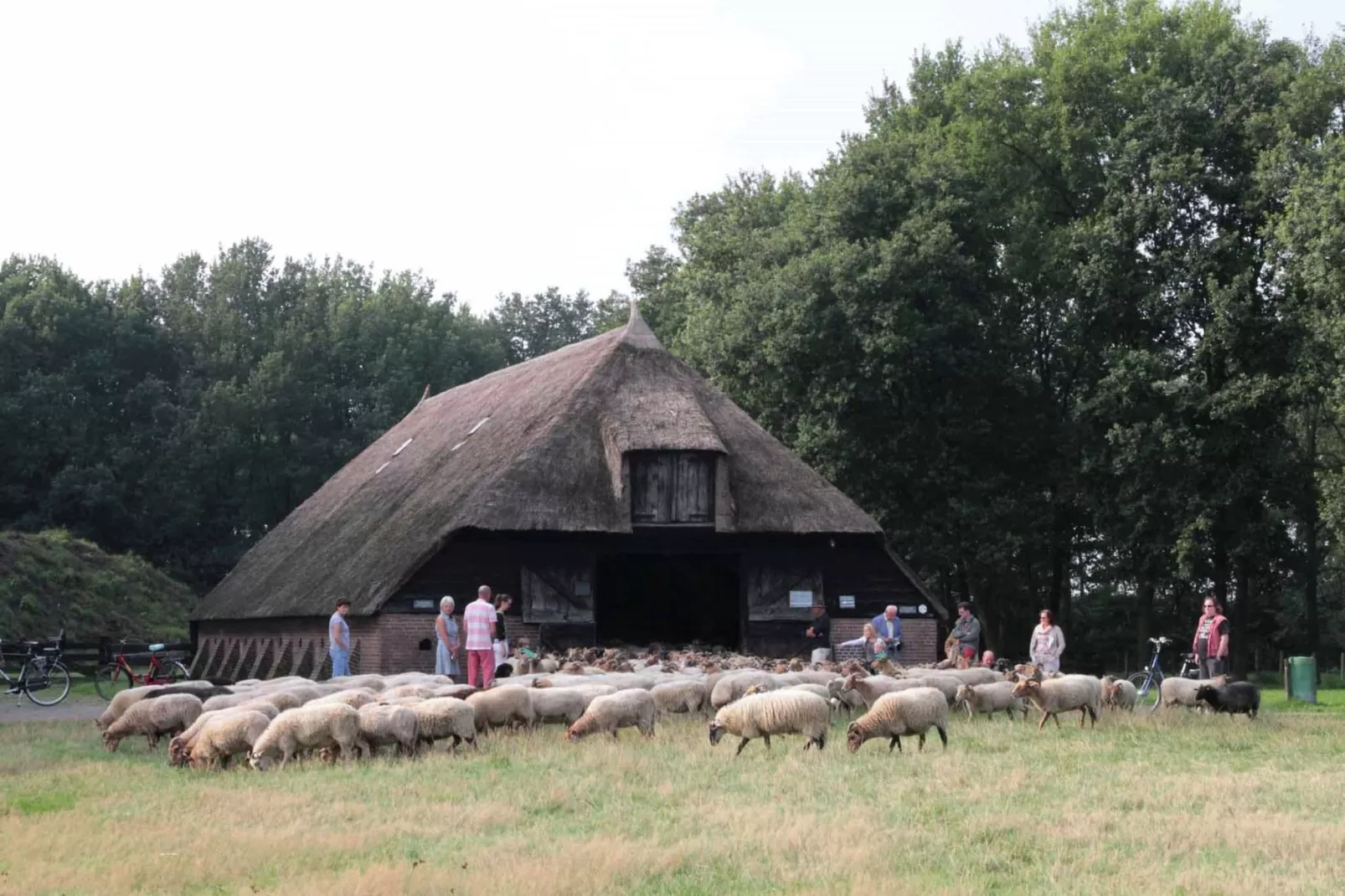 Natuurhuis Dichtbij-Gebieden zomer 20km