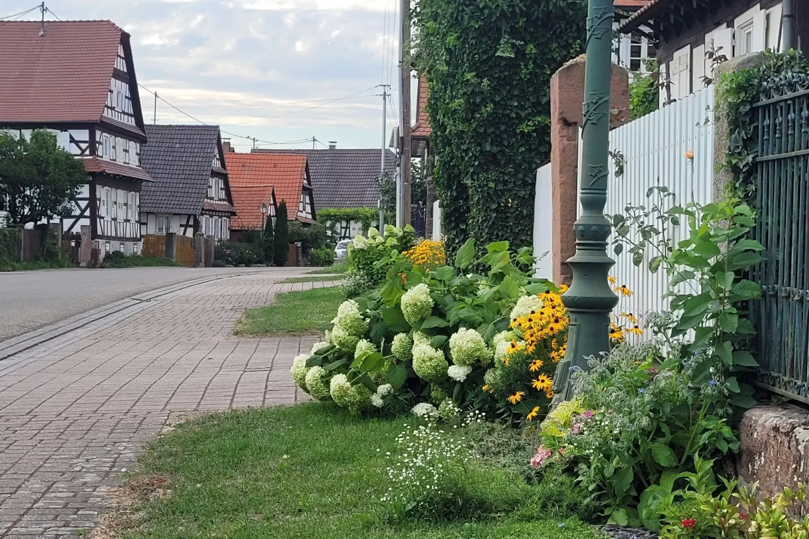 Maison de vacances - SCHLEITHAL-Gebieden zomer 1km