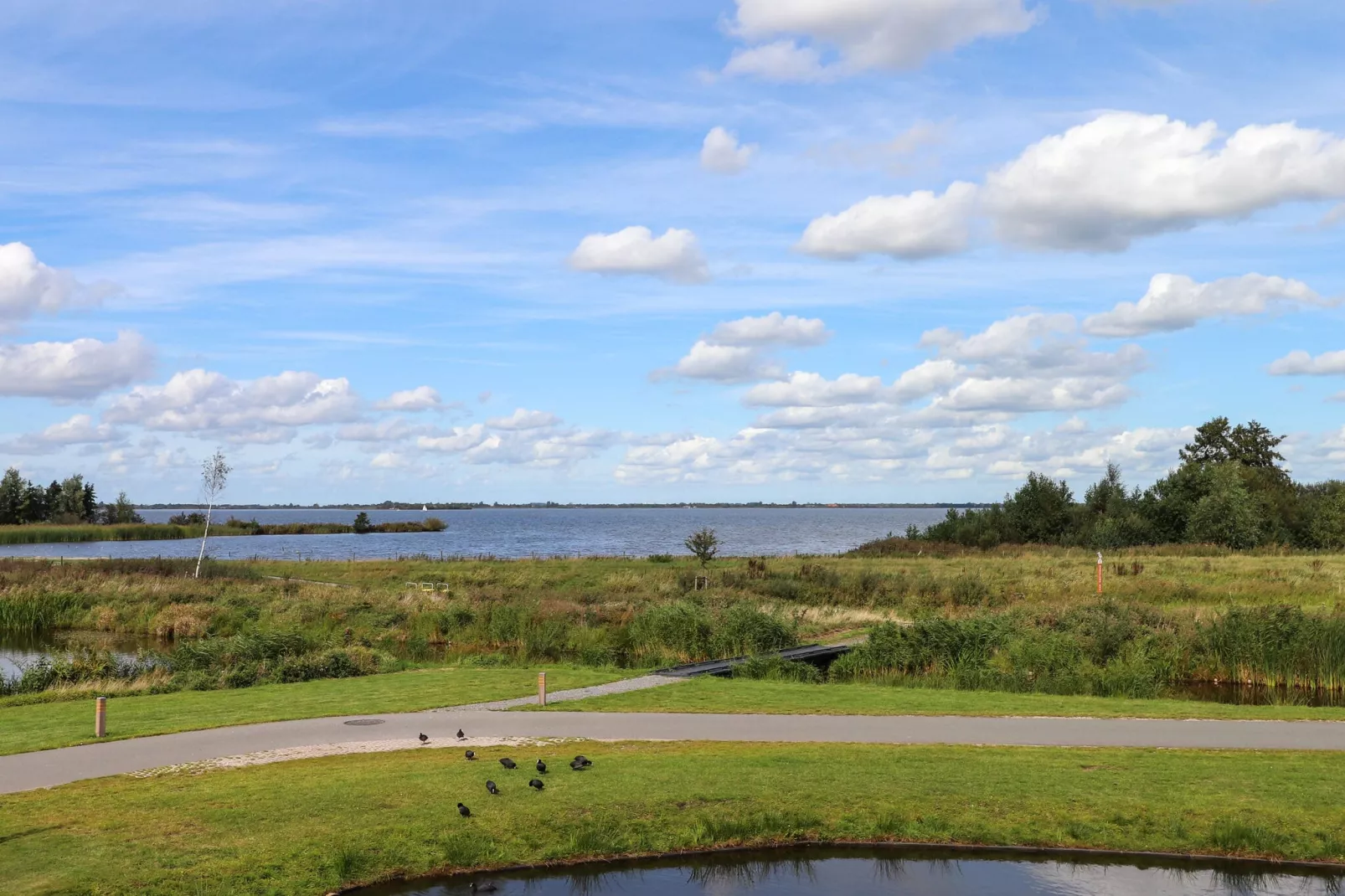 Friese Meren Villa's 12-Uitzicht zomer