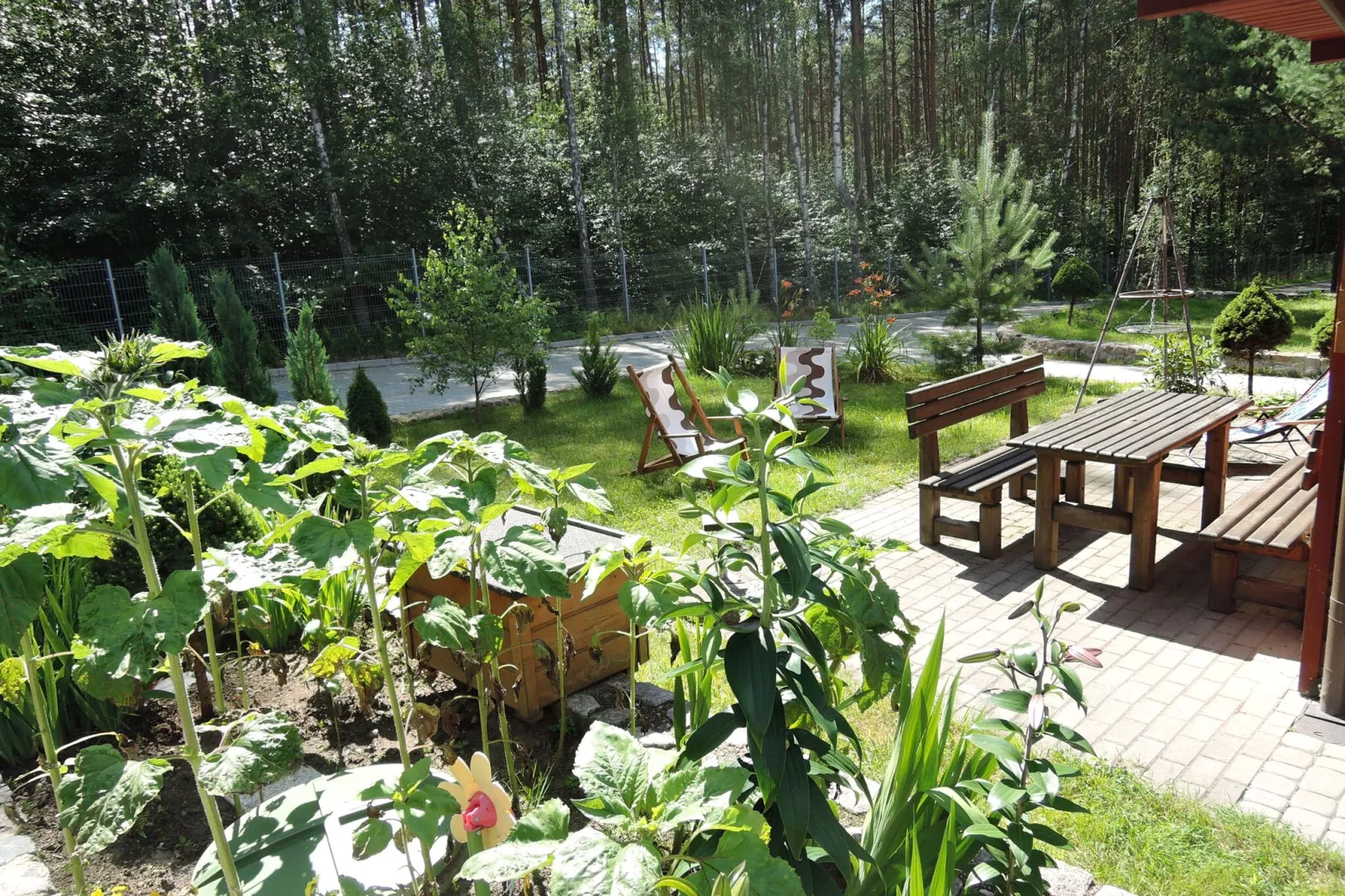 Holiday resort in Wiselka for 5 persons - 55 qm-Tuinen zomer