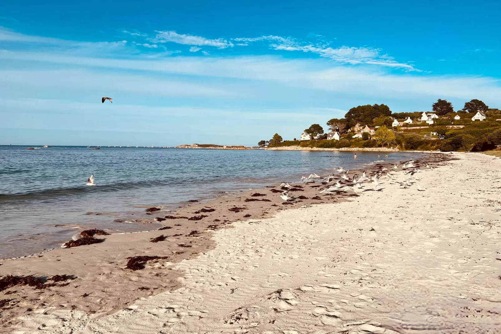 House sea view Trelevern-Gebieden zomer 1km