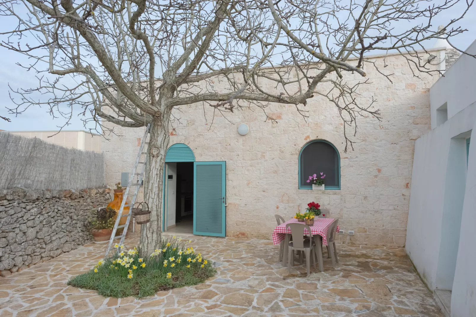 Trulli di Mina - Lamia Fresia Locorotondo-Buitenkant zomer