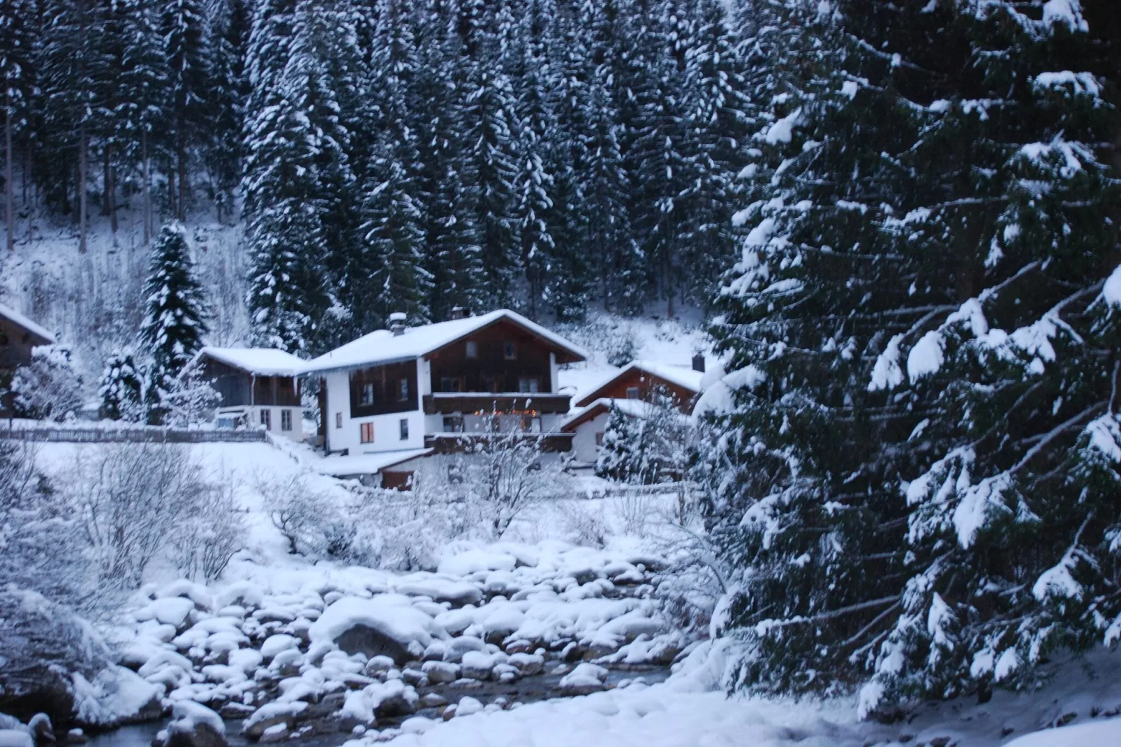 Backyard Mountain Hostel-Exterieur winter