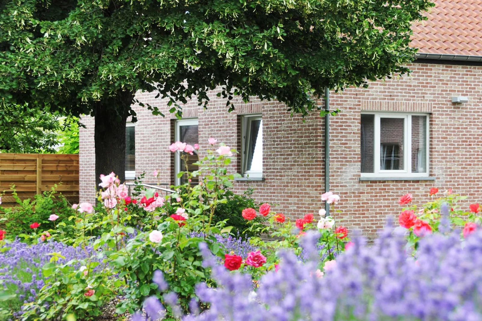 Gîte du Tilleul