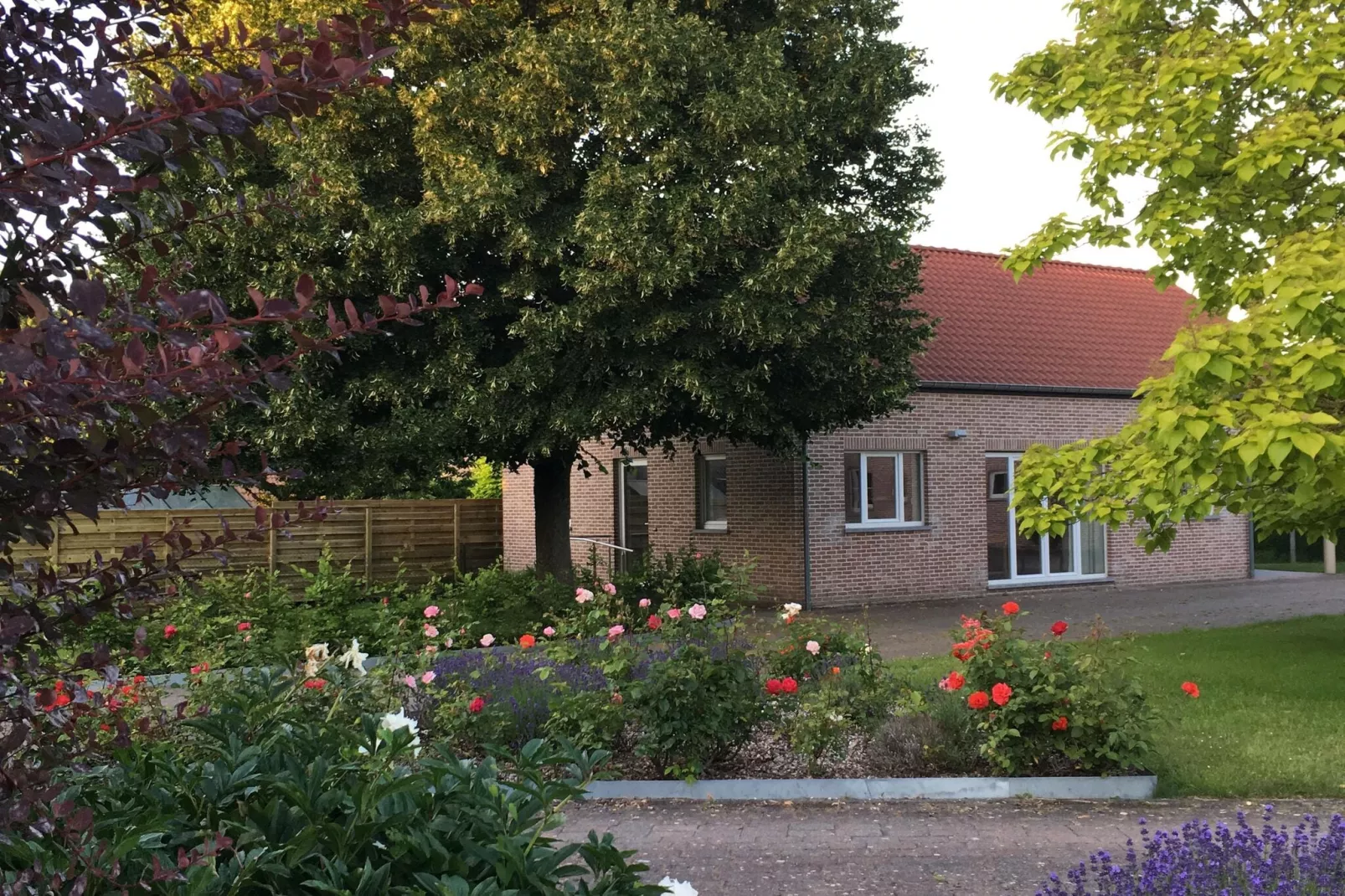 Gîte du Tilleul-Buitenkant zomer