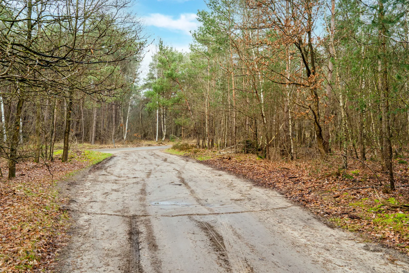 Reggezicht-Gebieden zomer 5km