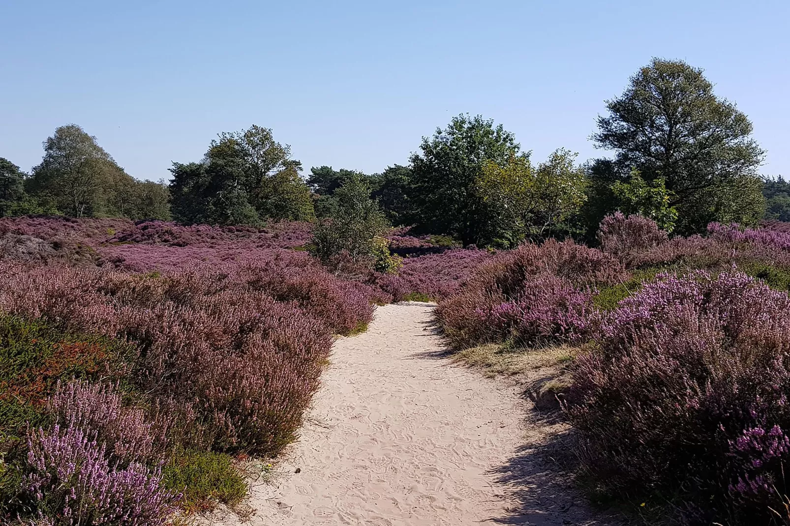 Huisje op paardenboerderij-Gebieden zomer 20km