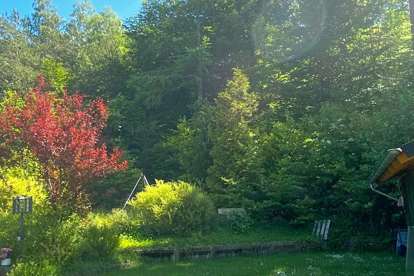 Ferienwohnung  Heinzen Jünkerath-Tuinen zomer