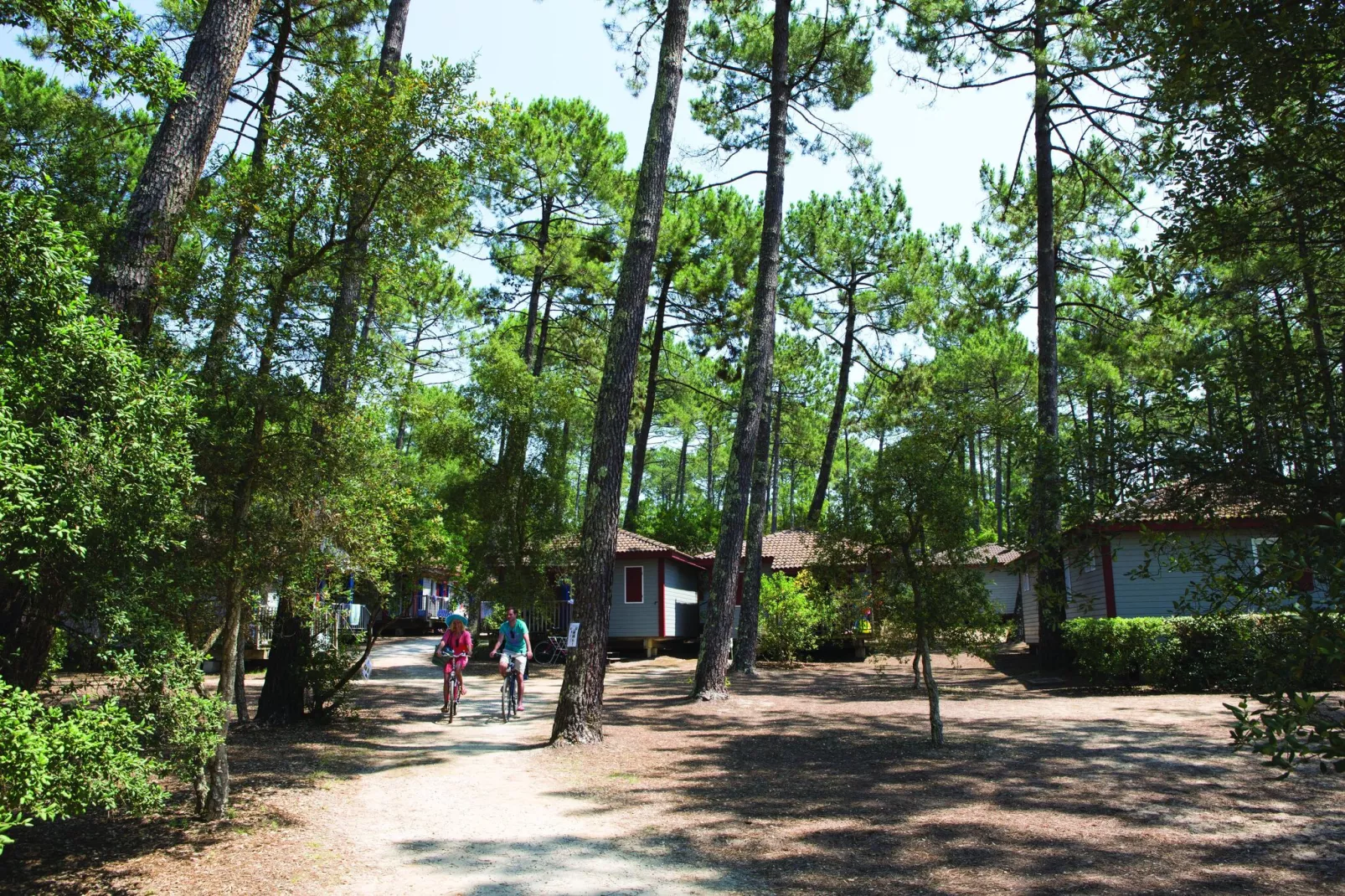 Résidence Landes Moliets // Chalet 3 pcs 4 pers et 1 bébé-Gebieden zomer 1km