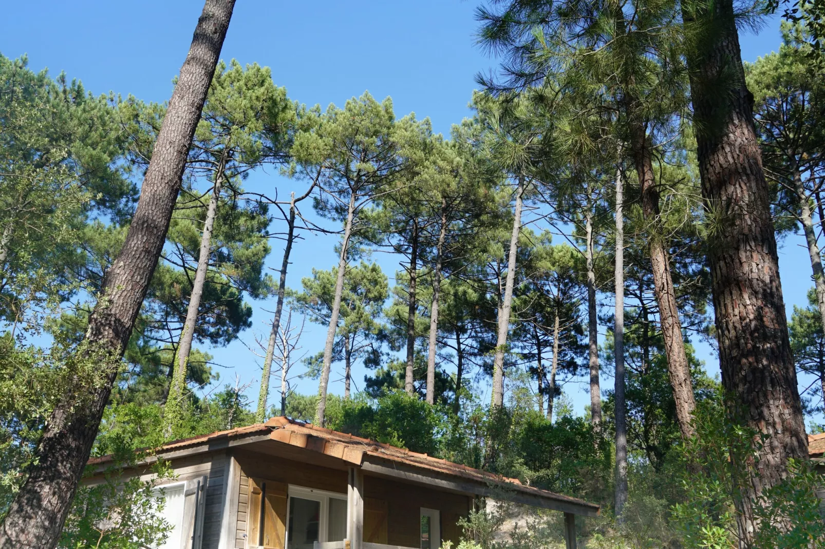 Résidence Landes Moliets // Chalet 3 pcs 4 pers et 1 bébé-Buitenlucht