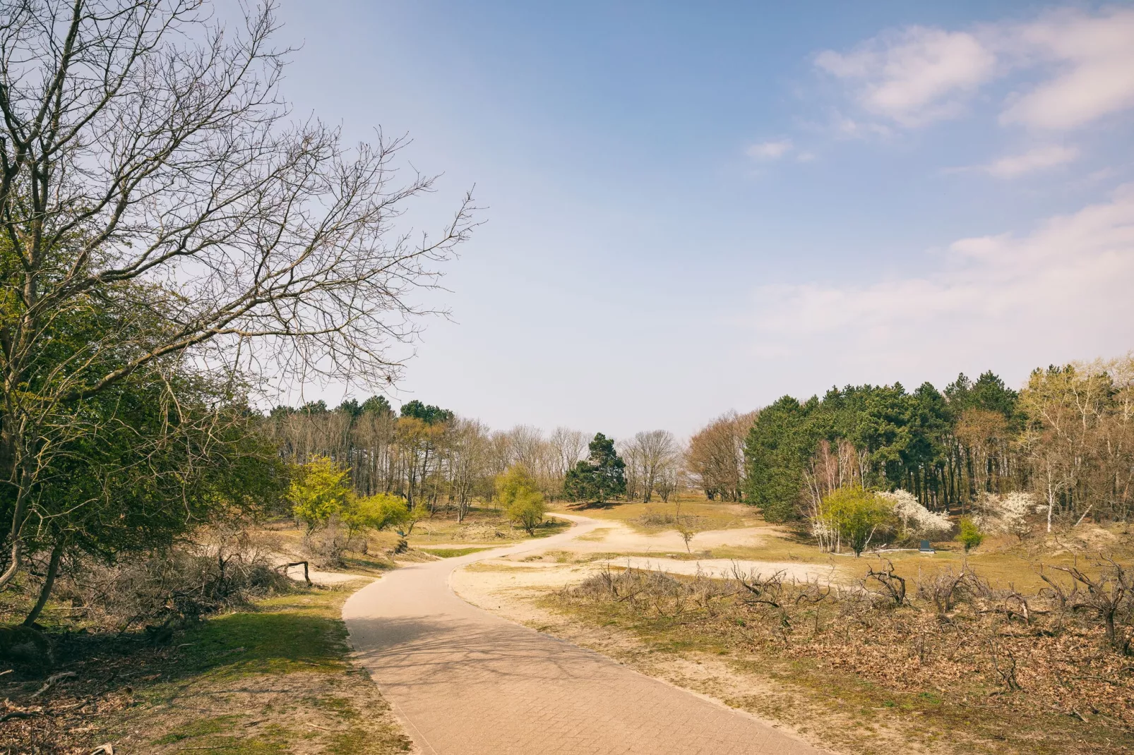 Duinresort Dunimar 3-Gebieden zomer 5km