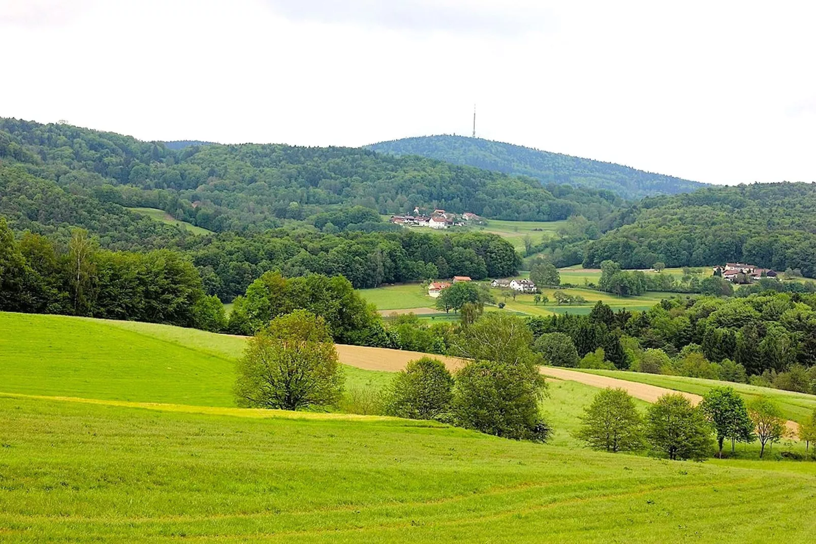 	Holiday flats Haus am Wald Zenting-Wohnung für 2 Personen-Gebieden zomer 5km