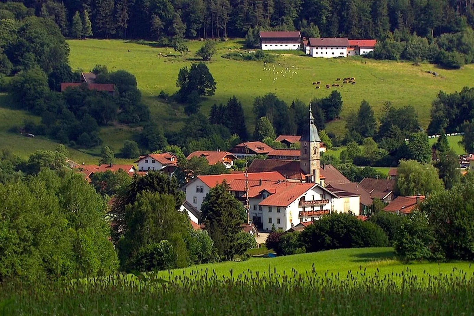 	Holiday flats Haus am Wald Zenting-Wohnung für 2 Personen-Gebieden zomer 5km