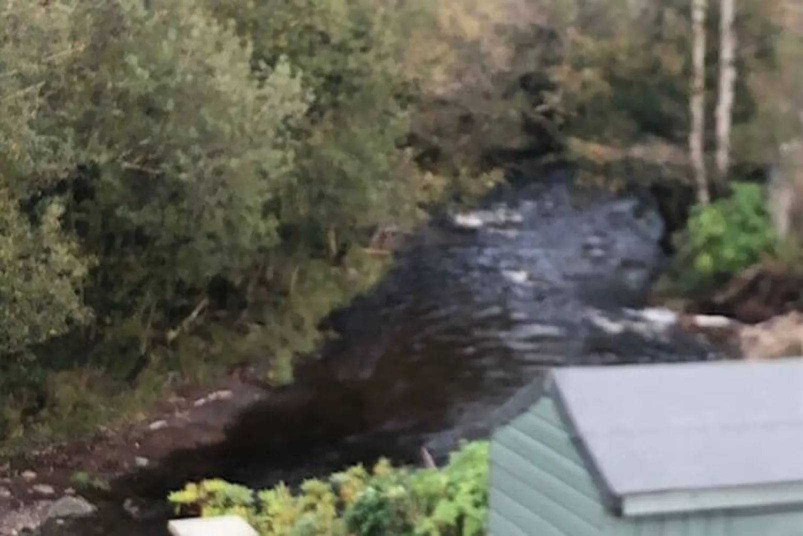 Brooklodge in Kenmare Kerry-Tuinen zomer