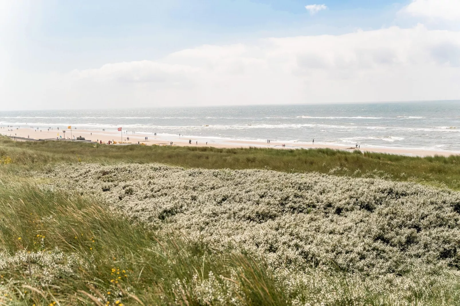 Naast het Bollenveld-Gebieden zomer 5km