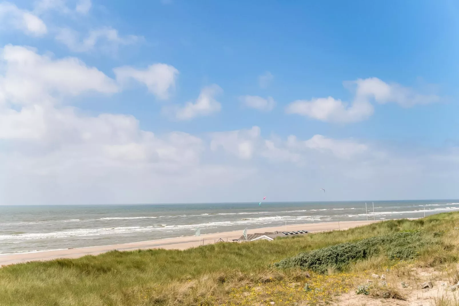 Naast het Bollenveld-Gebieden zomer 5km