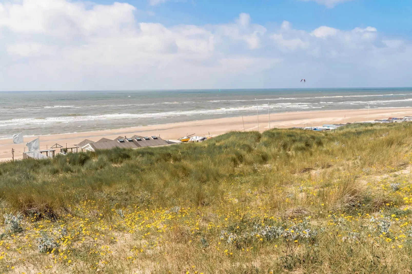 Naast het Bollenveld-Gebieden zomer 5km