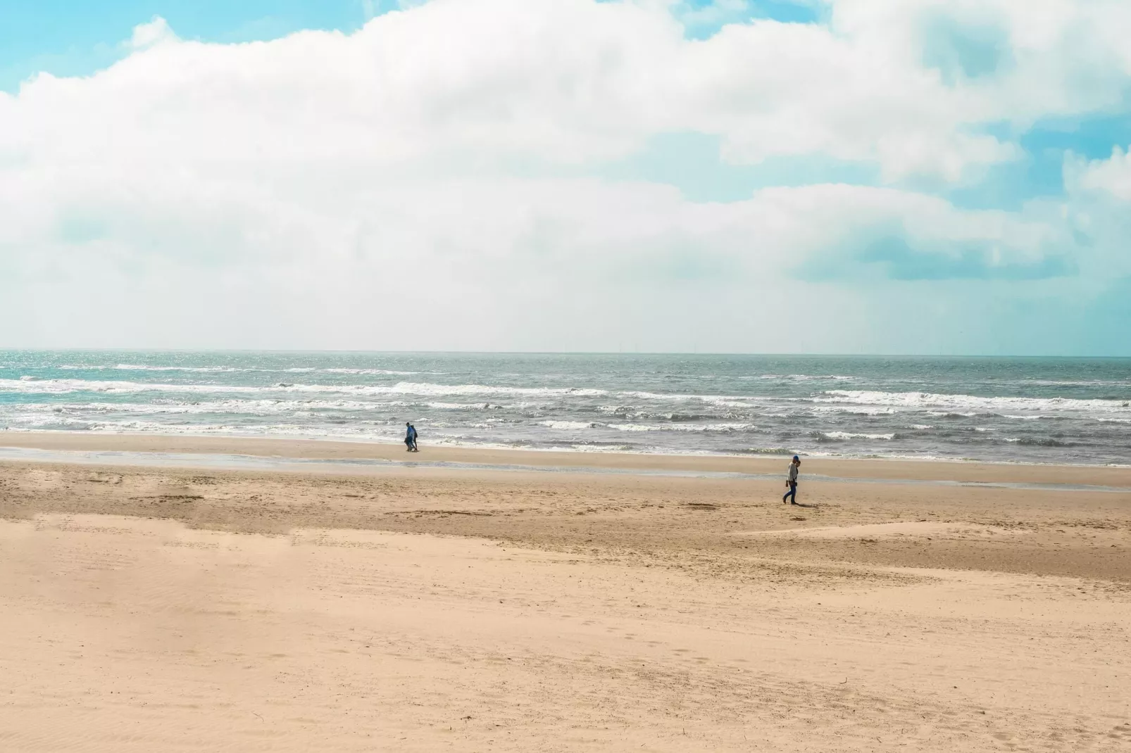 Naast het Bollenveld-Gebieden zomer 5km