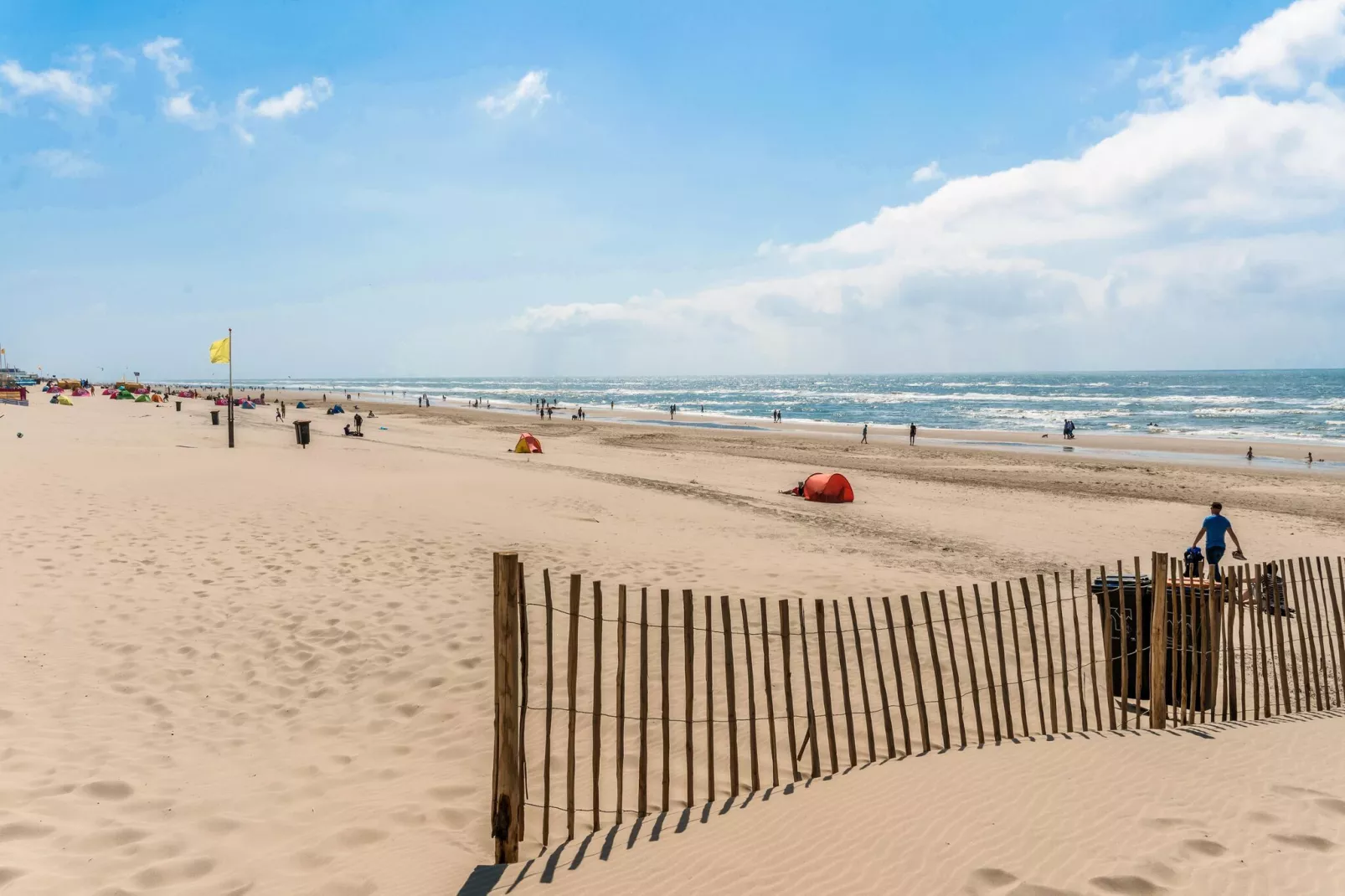 Naast het Bollenveld-Gebieden zomer 5km