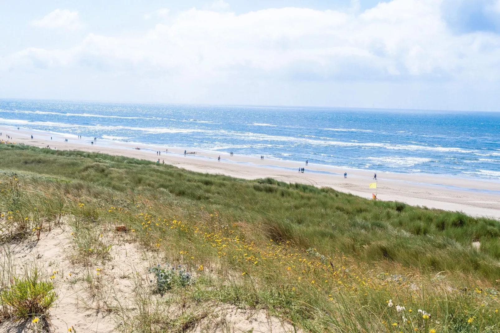 Naast het Bollenveld-Gebieden zomer 5km