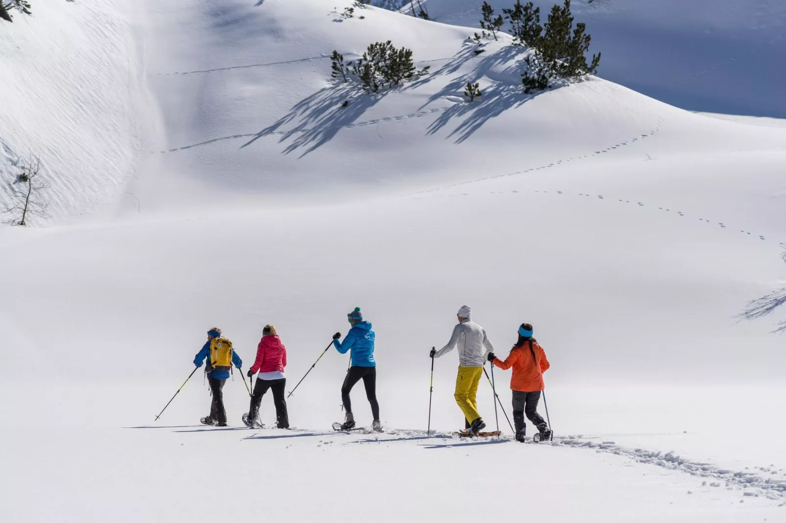 Apart Lastretta-Gebied winter 5km