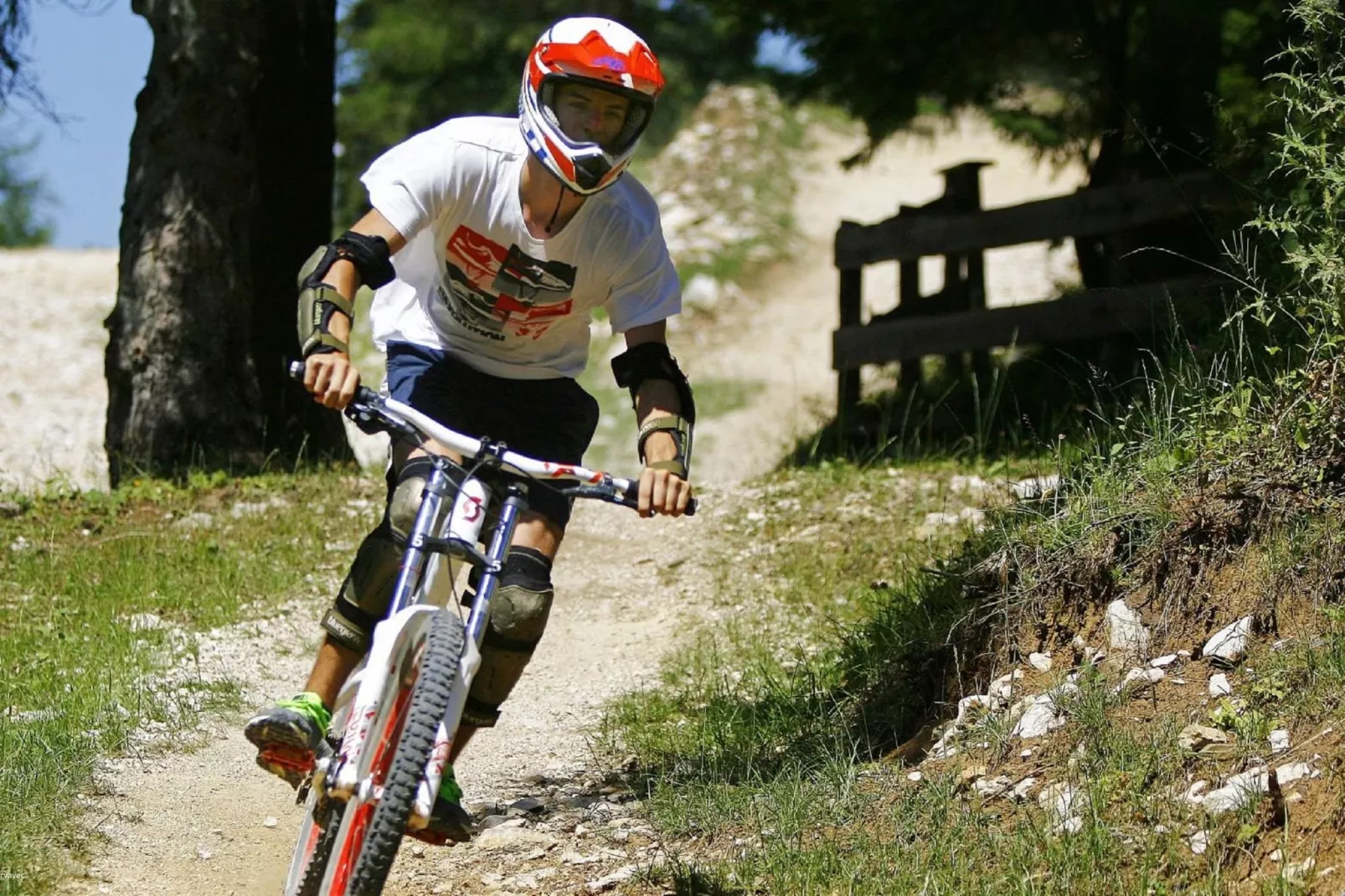 Brunarica Alpinka I-Gebieden zomer 5km