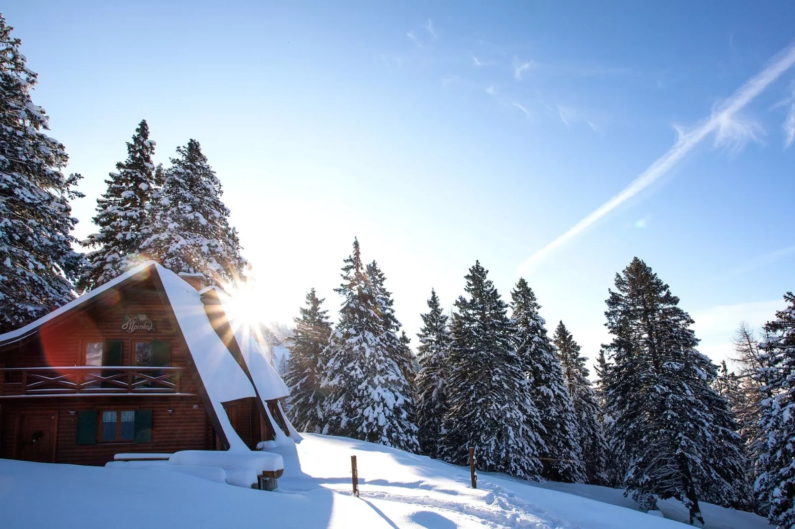 Brunarica Alpinka I-Exterieur winter